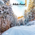 Mothers Nature Music Academy - Snow Walk in the Forest