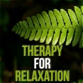 Relaxing Evening Music Universe - Wellness & Harmony
