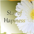 Plane Relaxing Music Academy - Music Therapy