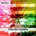 Mauro Rawn - The Castel Of Petals