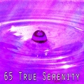 Spiritual Fitness Music - Tranquility