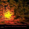 Cadence Spalding - Share Your Life