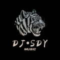 DJSdy、枫宇辰 - 2020新篇章 (Remix)