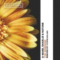 Natune、A-Mase、Sharliz - The Weekend (Stefre Roland Remix)