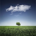 Meditacao Clube、Música Zen Relaxante、Deep Sleep FX - Calming Rains Meditation