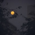 刘泰然 - 江城子·乙卯正月二十日夜记梦
