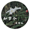 莫寒韵 - 霸王別姫