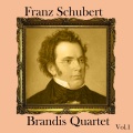 thomas brandis、Wilfried Strehle、Wolfgang Boettcher、Peter Brem - I. Allegro ma non troppo