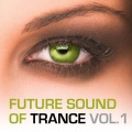 VDM - Fly Away