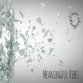Vince Anthony、Vince Erpenbach - Meaningful Vibes