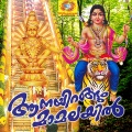 unni menon - Aanayirangum Mamalayil