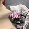 希白Ly - Flos