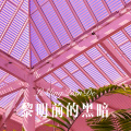 杀阡陌、你的大美 - 白头到老不分离
