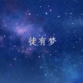 陈小满 - 徒有梦