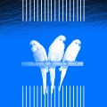 POP Corn、LoveLyfe、Rebecca Anne、Hot Topic、Freelance - Prison Break