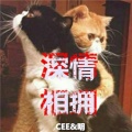 曾小Cee、爱读书的小明 - 深情相拥