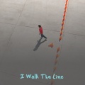 Burl Ives - I Walk the Line