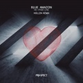 Blue Amazon - No Other Love (HollenRemix)