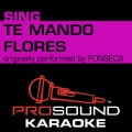 ProSound Karaoke Band - Te Mando Flores