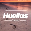 Conjunto Chaney - Esta Noche Te Voy A Estrenar