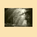白色雑音、水の音、Jackson Smith - 水星