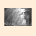 白色雑音、水の音、Jackson Smith - 月の呪文