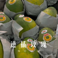 圈妹 - 你是我最难舍的人