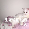 清一色 - 你是我的神 (Remix)