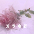 徐懵圆 - 一帘幽梦 (Remix)