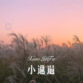 徐懵圆 - 绑架爱情 (Remix)