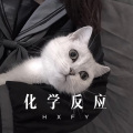 大娘们蒙多 - 兄弟再干一杯