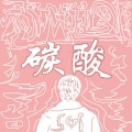 Z-398、易开火 - 碳酸