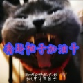 张驰同学 - 撸起袖子加油干