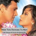 Kavita Krishnamurthy、Udit Narayan - Main Tera Deewana Tu Meri