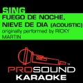 ProSound Karaoke Band - Fuego De Noche, Nieve De Dia