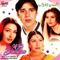 Shabnam Majid、amirali、M. Arshad - Sadiyon Se