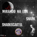 Shark - Mirando na lua (Original Mix)