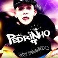 DJ R7、MC Pedrinho - Geral Embrazando (Explicit)