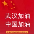 广东彪歌 - 武汉加油，中国加油！