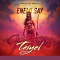 TaiyeL - Enemi Say