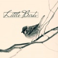 Calm Singing Birds Zone、Forest Hills Music Universe、Bird Song Group - Tree Hollow