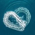 TangTian - Masa