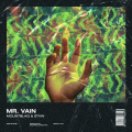 STVW、Mountblaq、Culture Beat - Mr. Vain (STVW & Mountblaq Festival Edit)