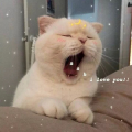 -Lil Marron- - I Love You 3000