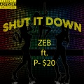 Zeb、P-$20 - Shut It Down (Explicit)