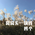 蝙蝠 - 爱你迷失了自我 (Remix)