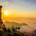 Yoga Tribe、Spa Music Paradise、White Noise Meditation - Pilates Moments