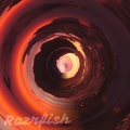 GDP、Razrfish、Raekwon - Indigo Nights (Explicit)