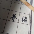 养猪 - 怜香伴