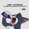 穆吉 - 你像花一样开在春天里